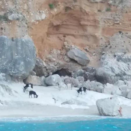 Dommu Amsicora Piano 2 *